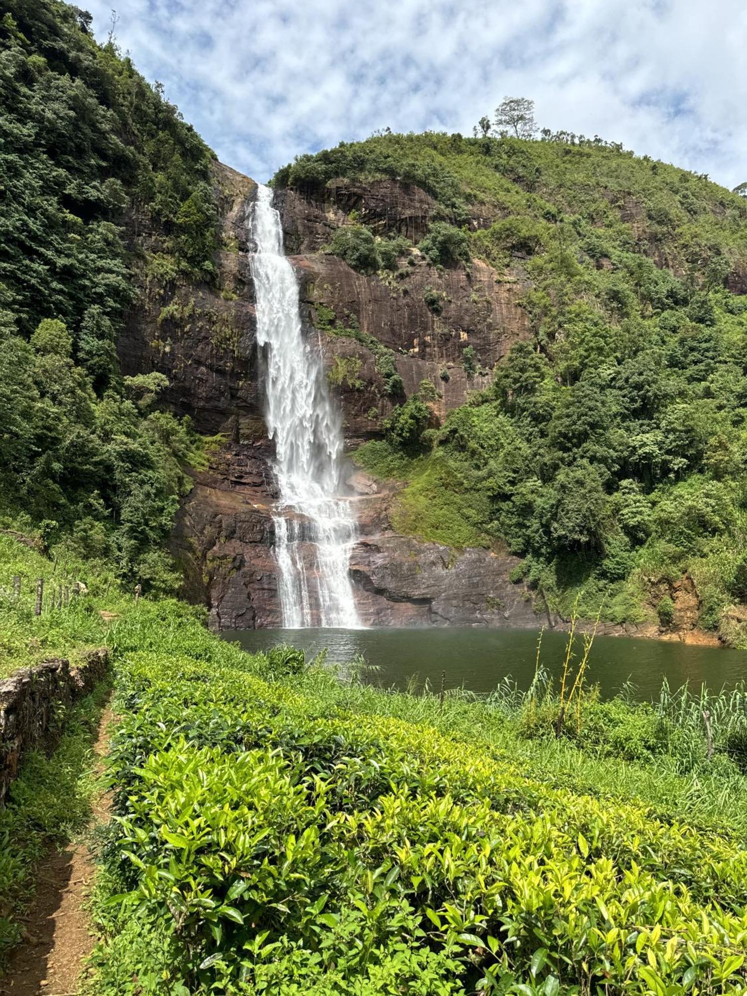 Pekoe Lodge Maskeliya Экстерьер фото