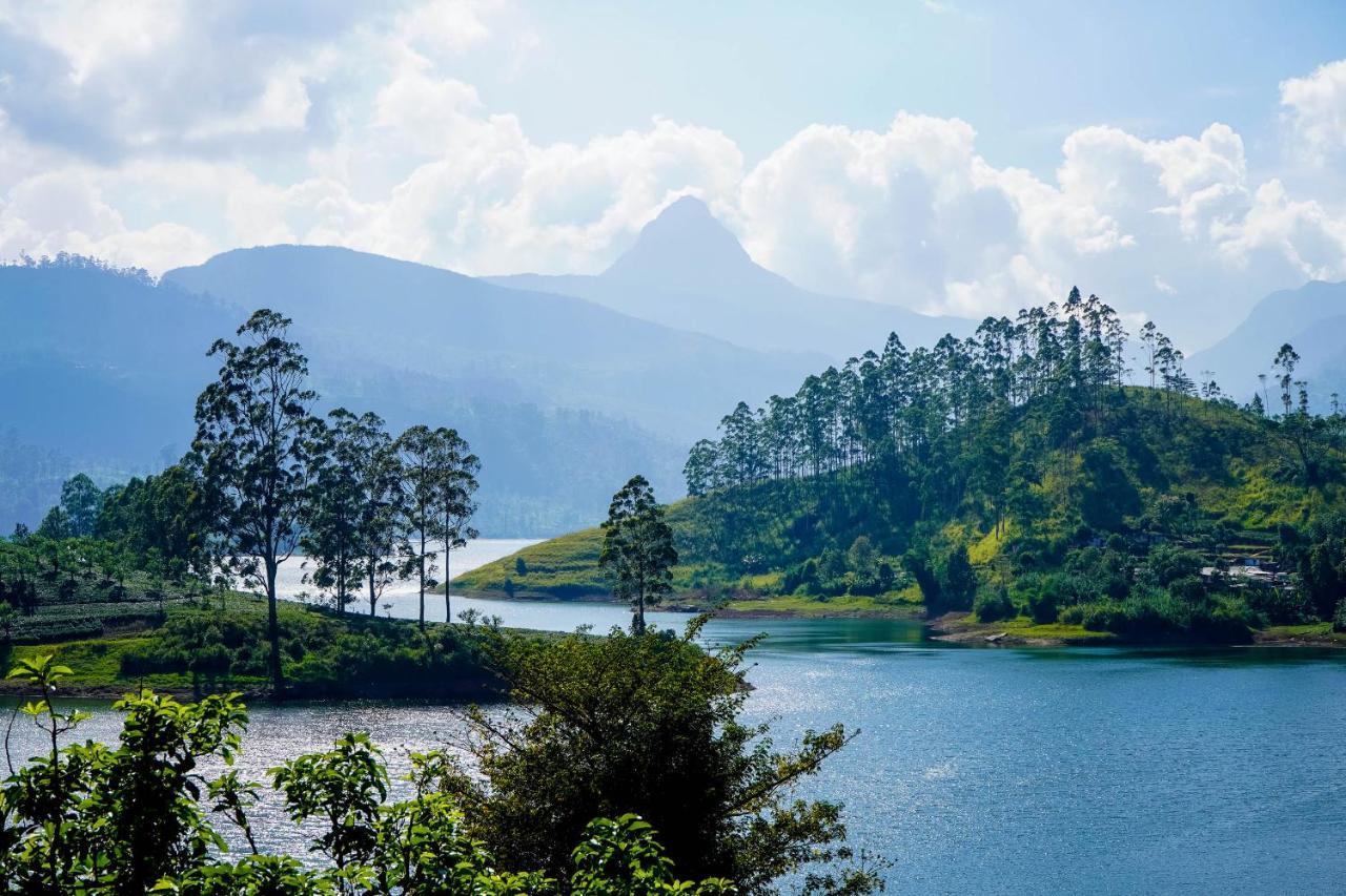 Pekoe Lodge Maskeliya Экстерьер фото